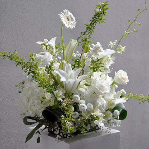 Elegance Blanc