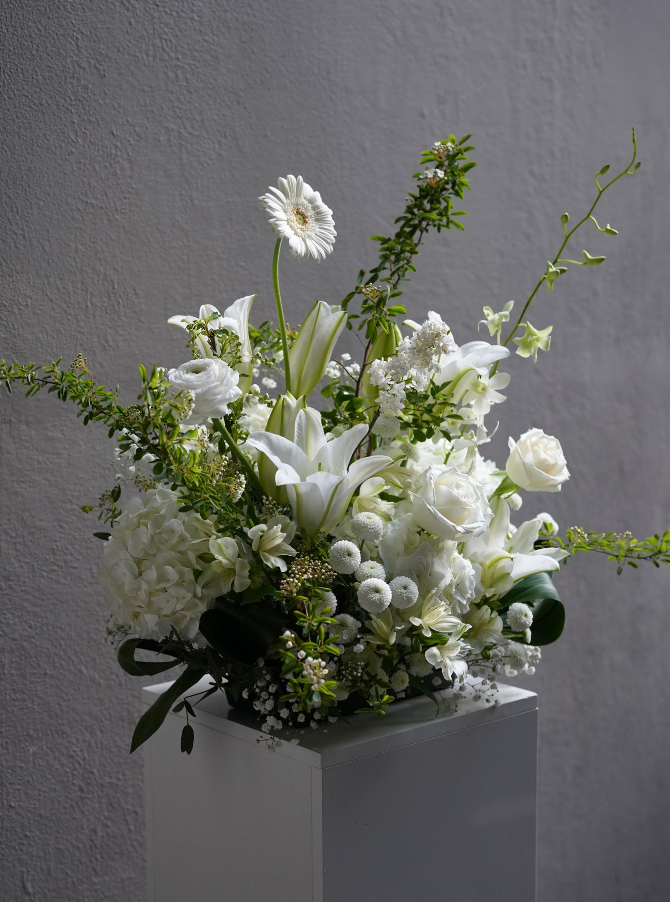Elegance Blanc