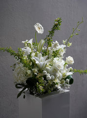Elegance Blanc