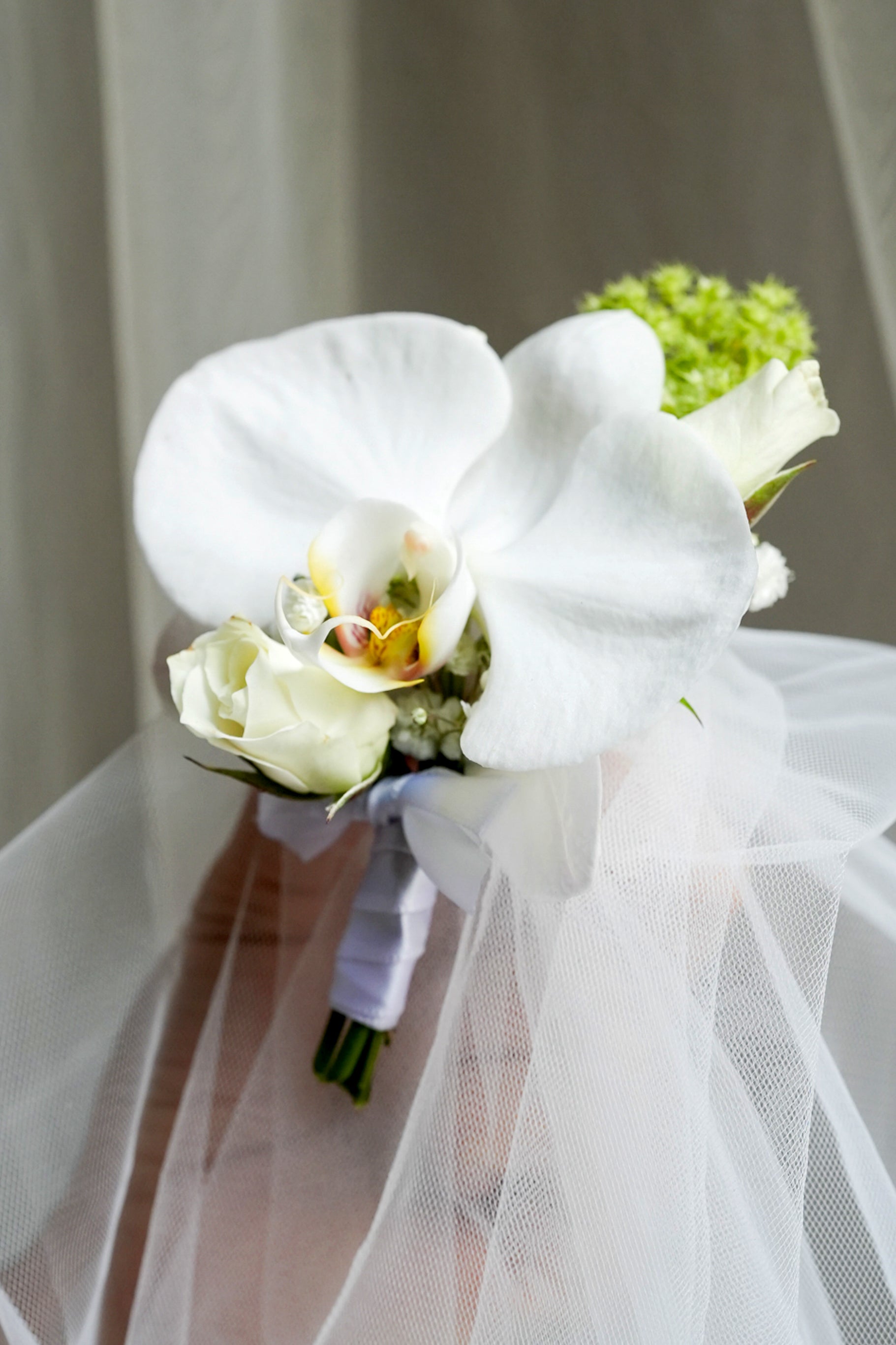 Petal Poetry