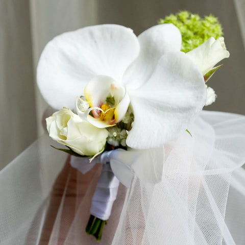 Blanc in Orchid Boutonniere & Corsage