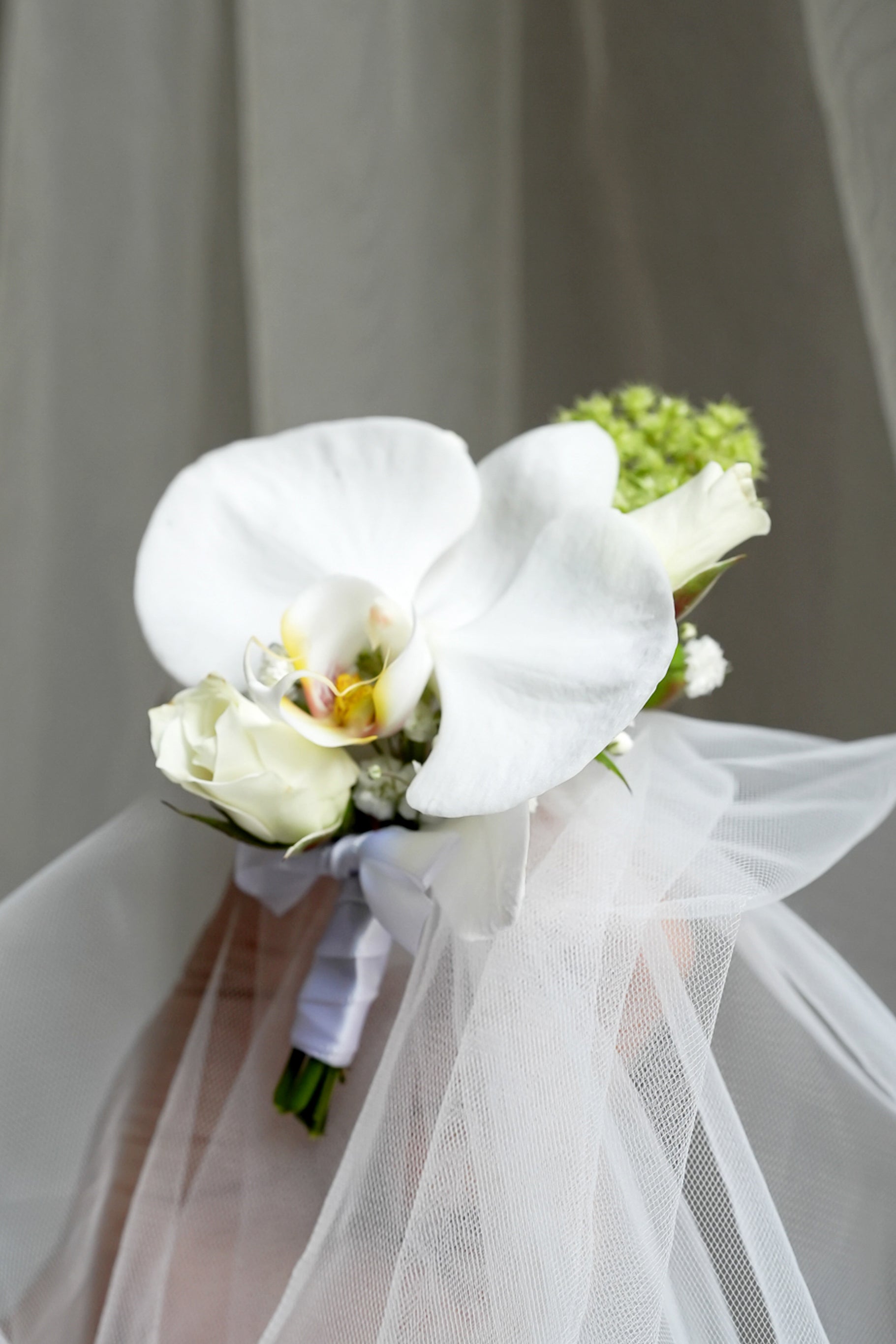 Petal Poetry