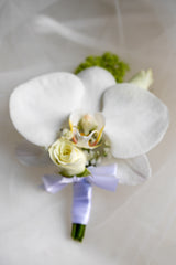 Petal Poetry