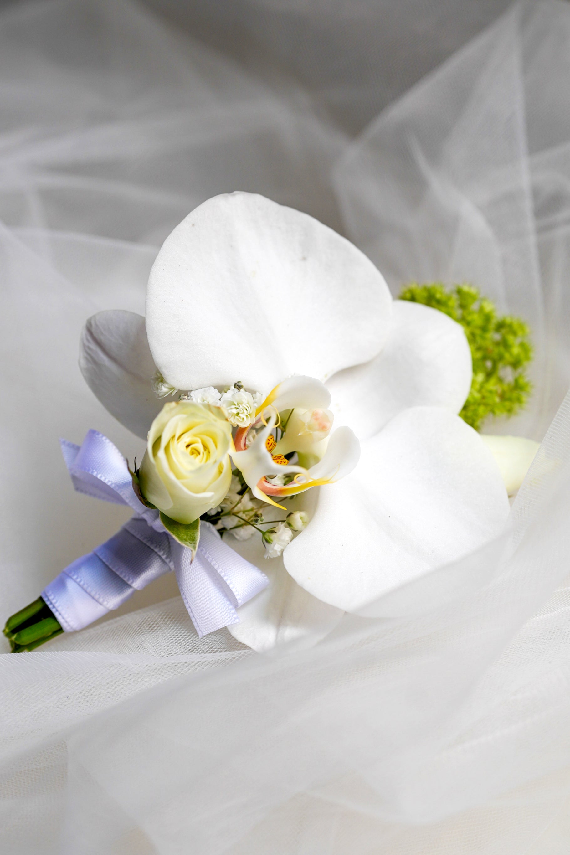Petal Poetry