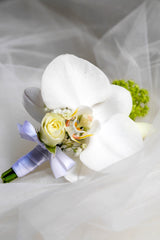 Petal Poetry