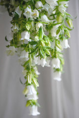 Campanula Cascading Bouquet