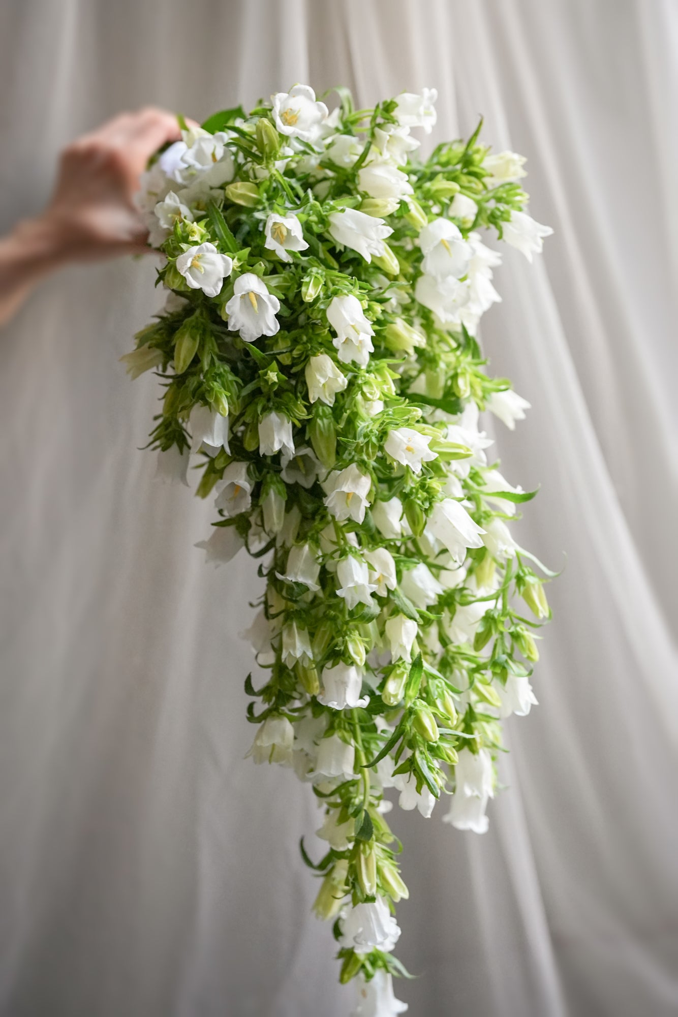Campanula Cascading Bouquet