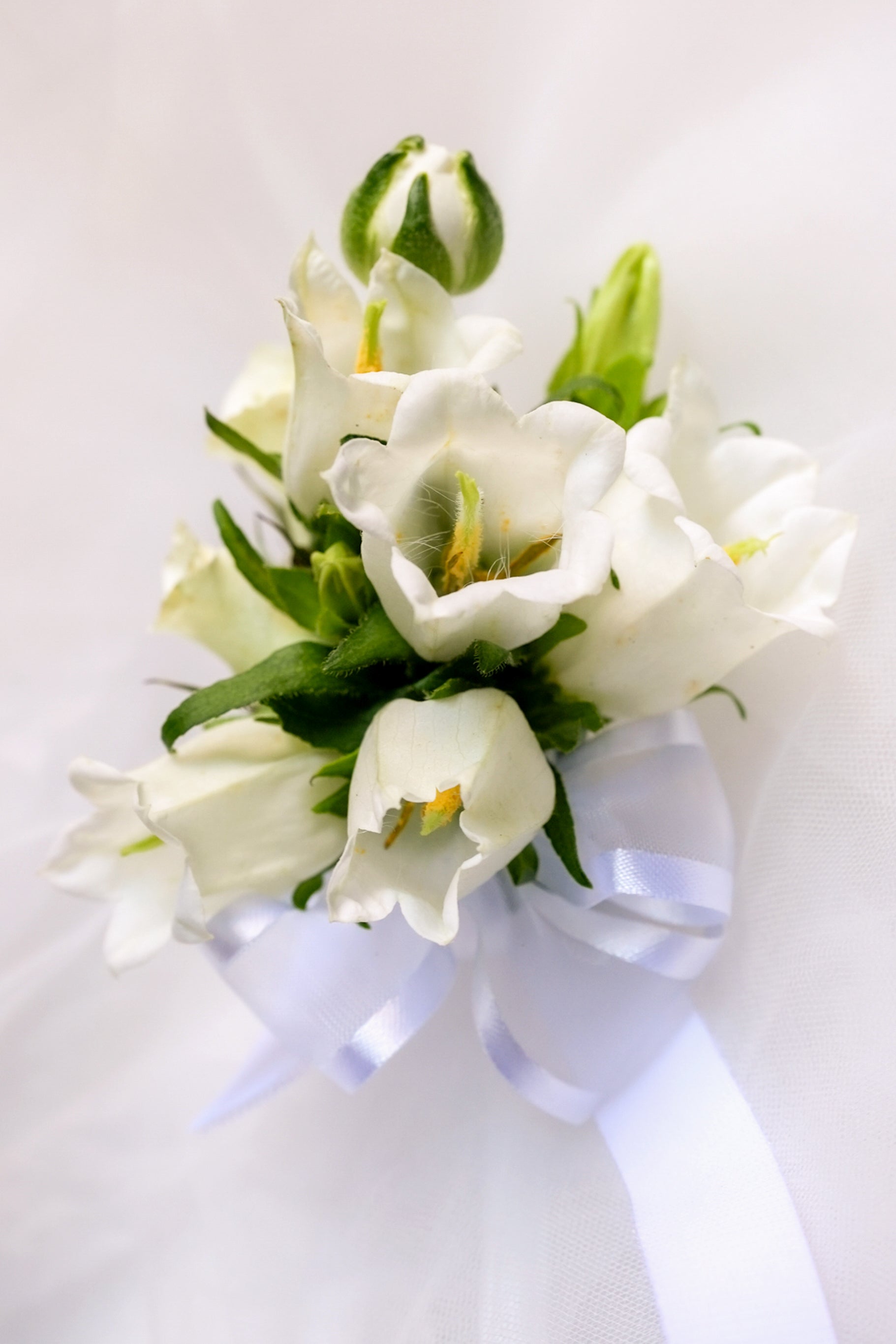 Campanula Boutonniere & Corsage
