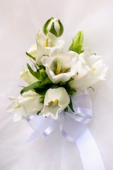 Campanula Boutonniere & Corsage