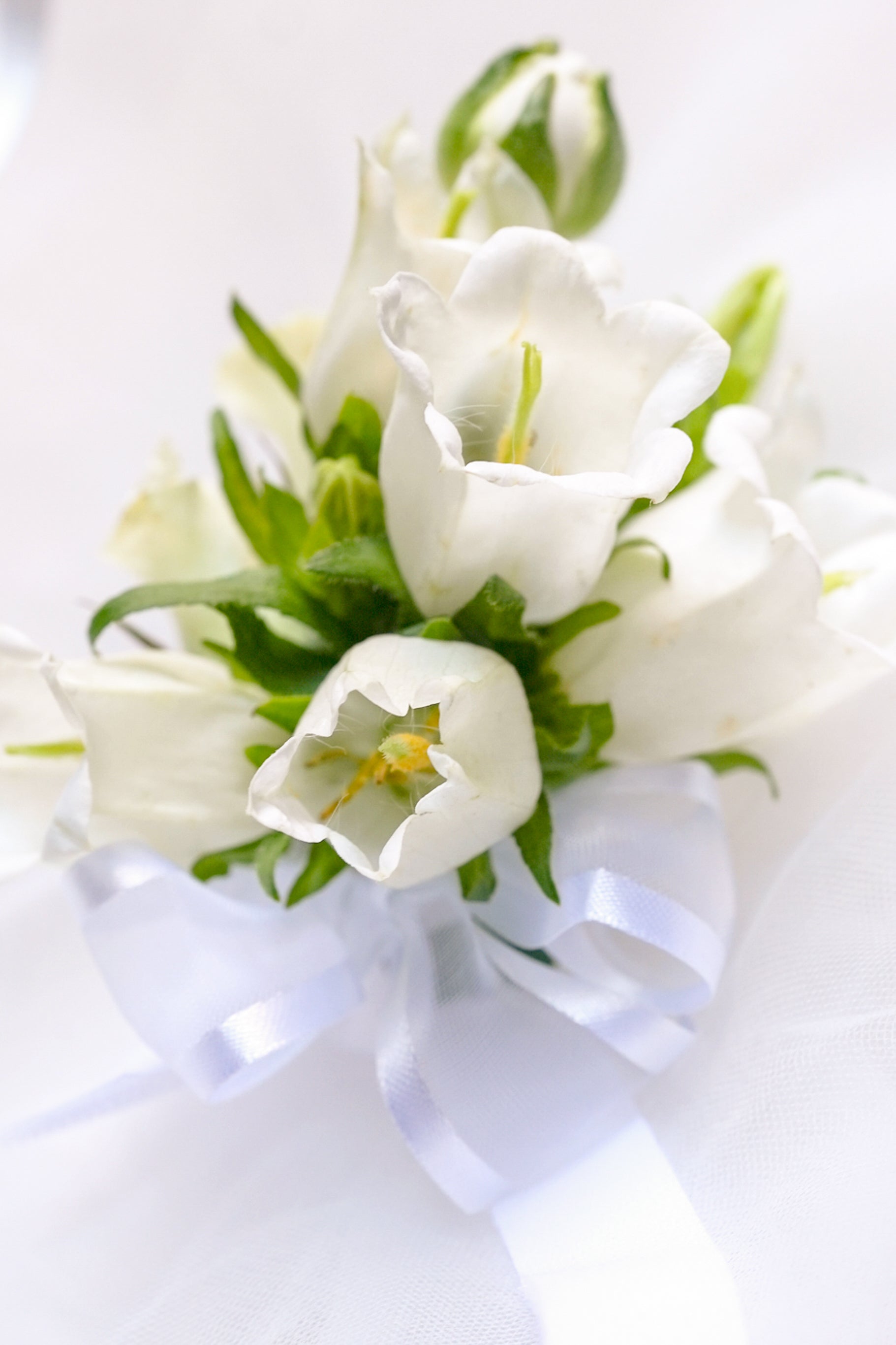 Campanula Boutonniere & Corsage