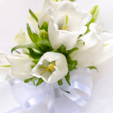 Campanula Boutonniere & Corsage