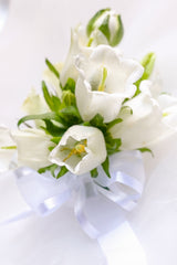 Campanula Boutonniere & Corsage