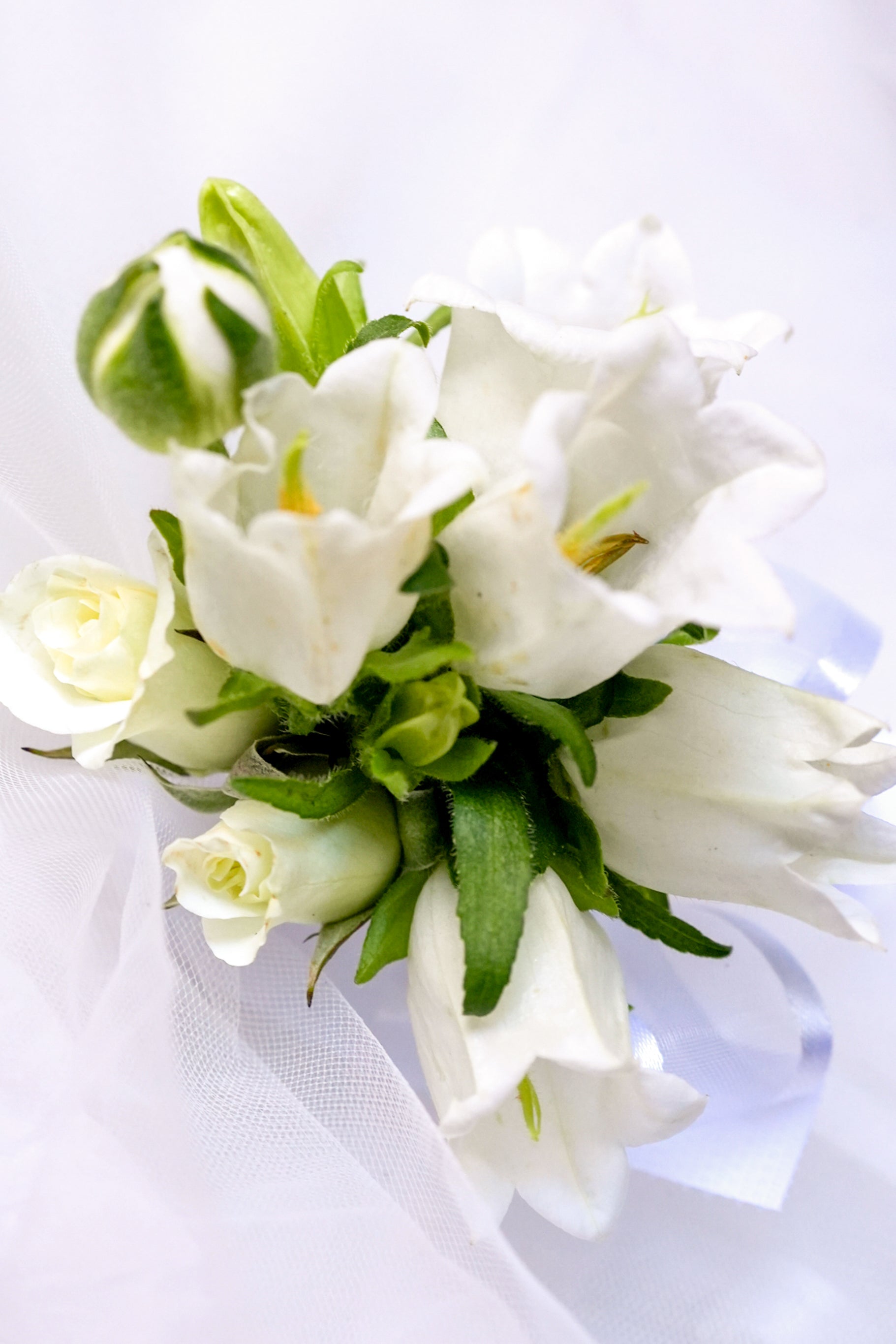 Campanula Boutonniere & Corsage