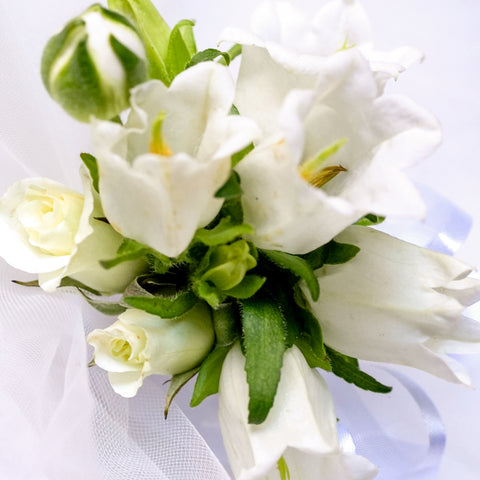 Campanula Boutonniere & Corsage
