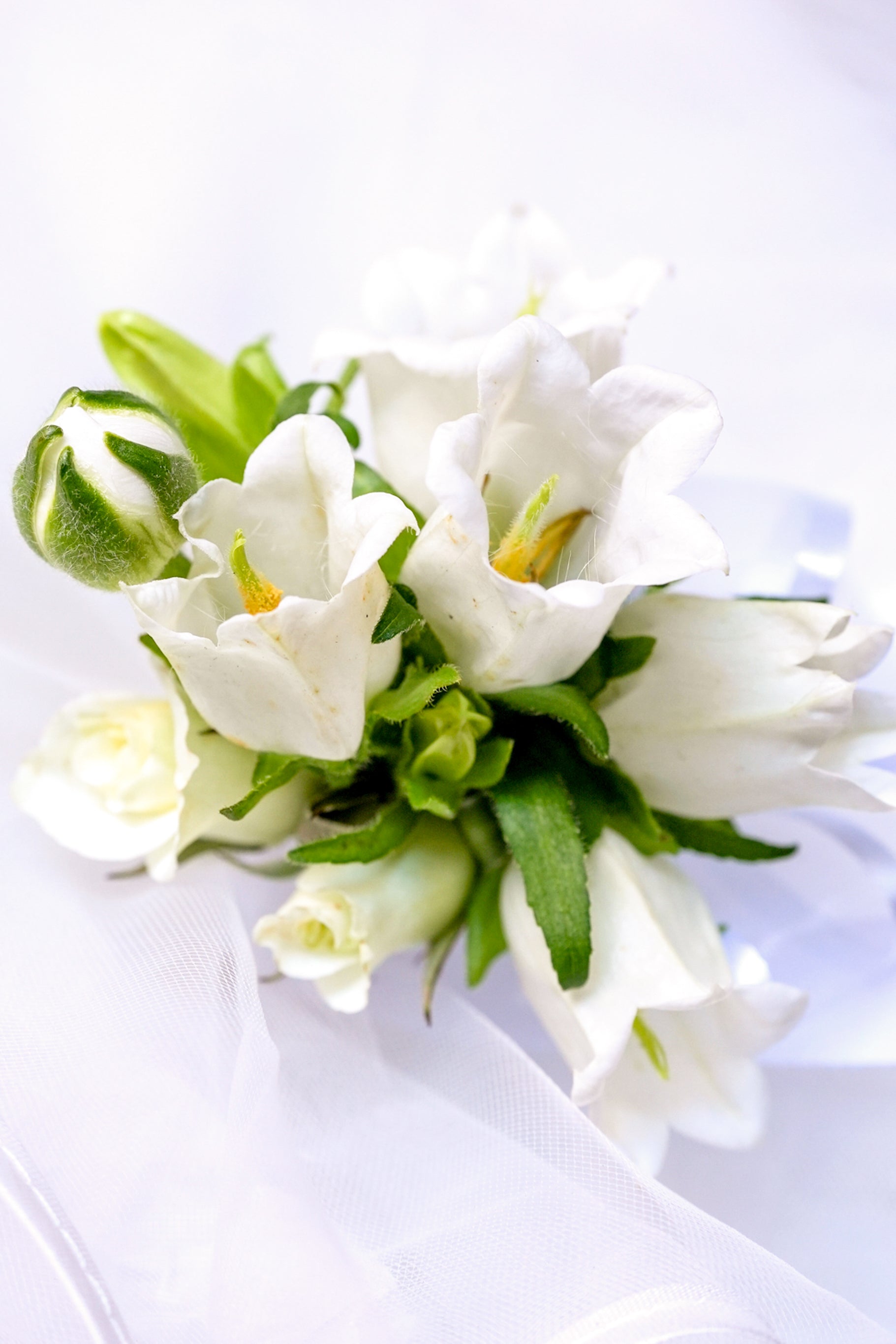 Campanula Boutonniere & Corsage