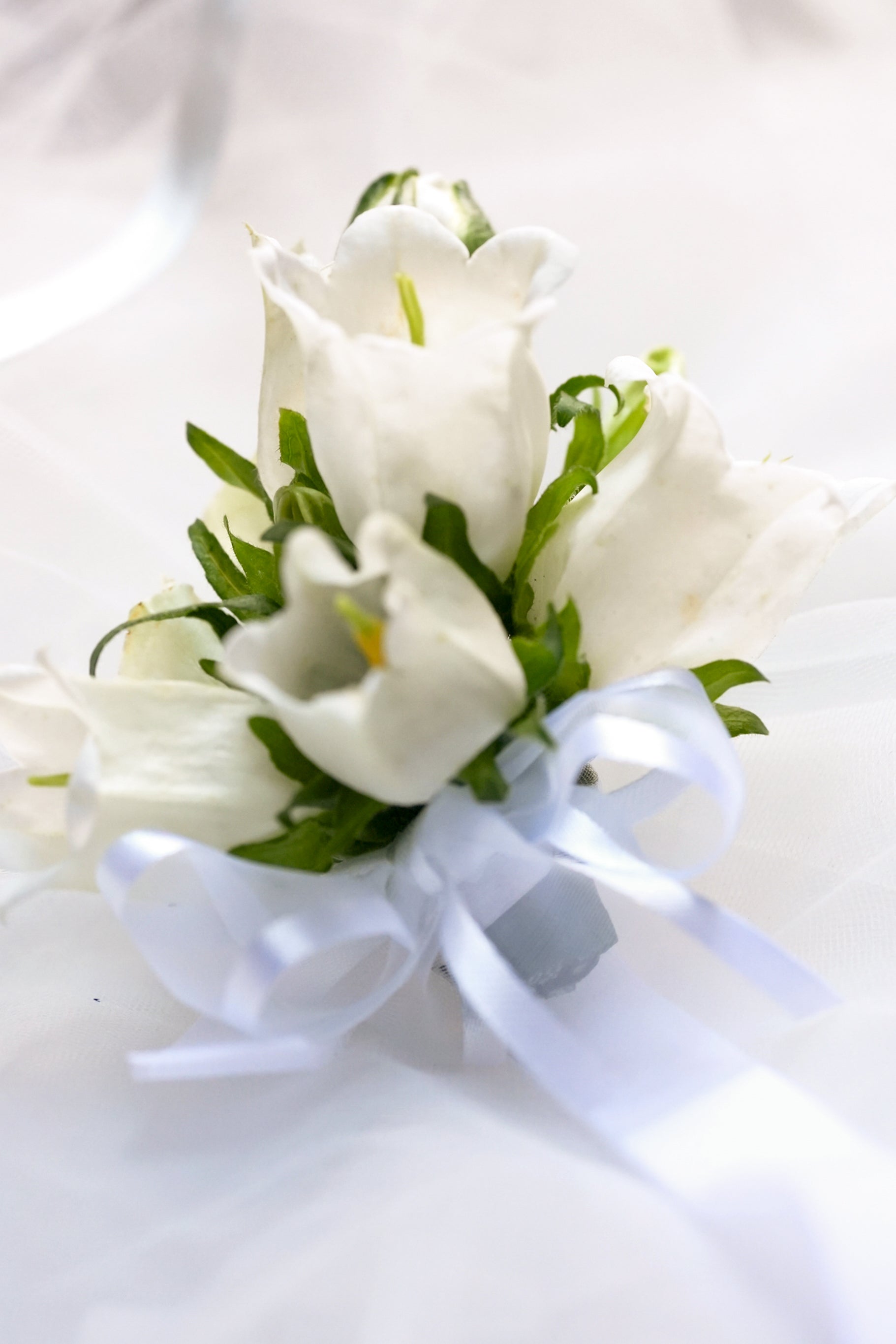 Campanula Boutonniere & Corsage