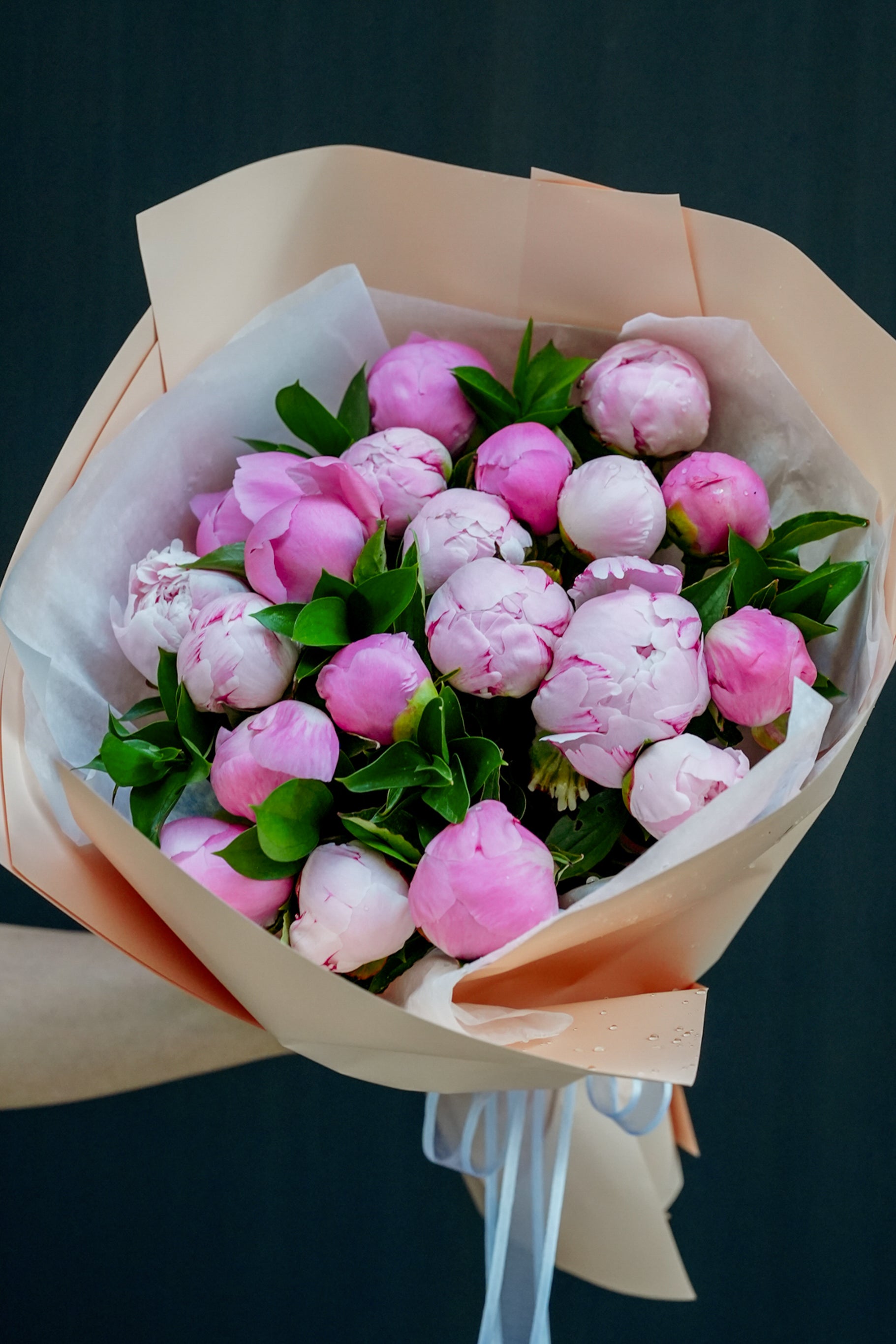 Douce Peony