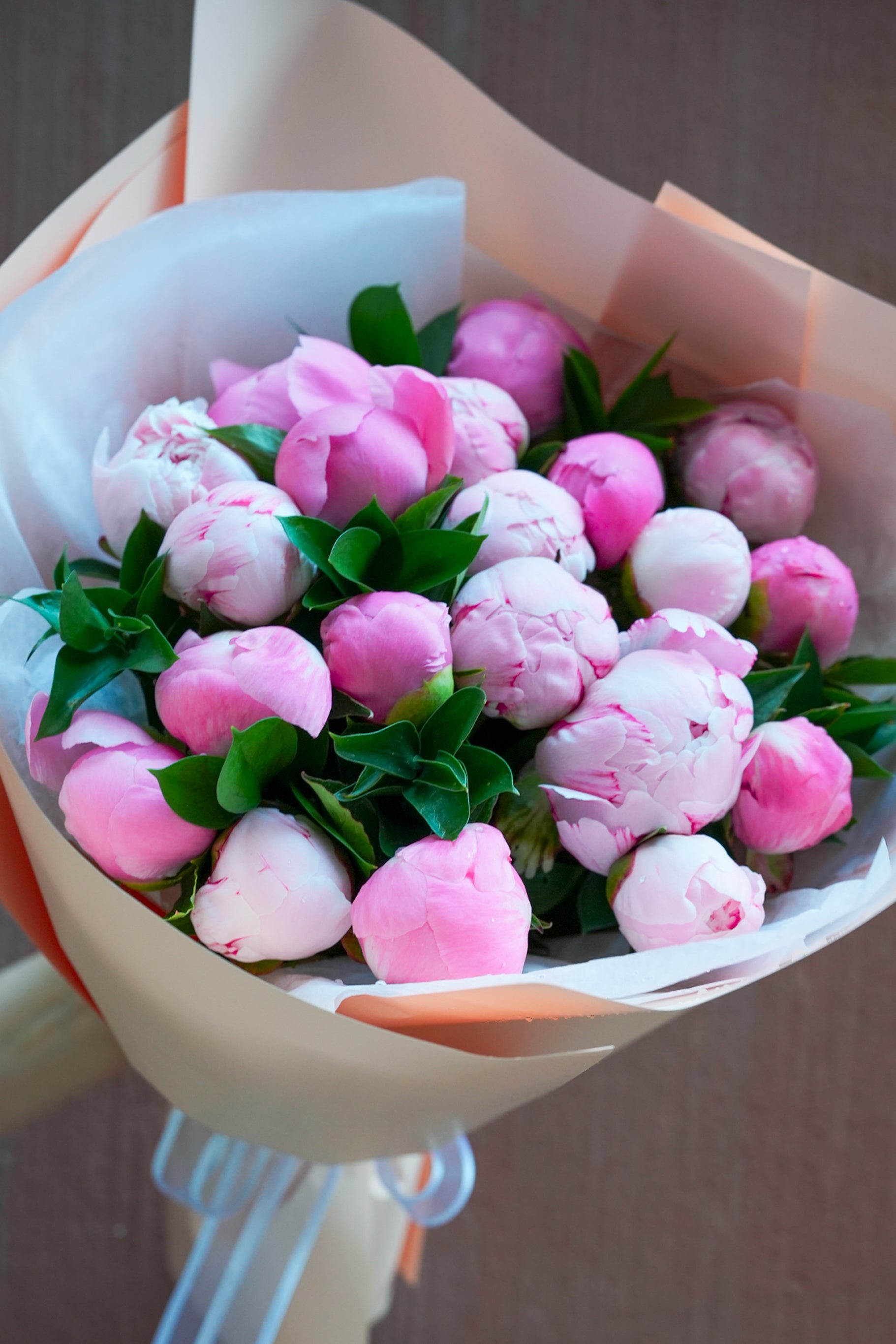 Douce Peony