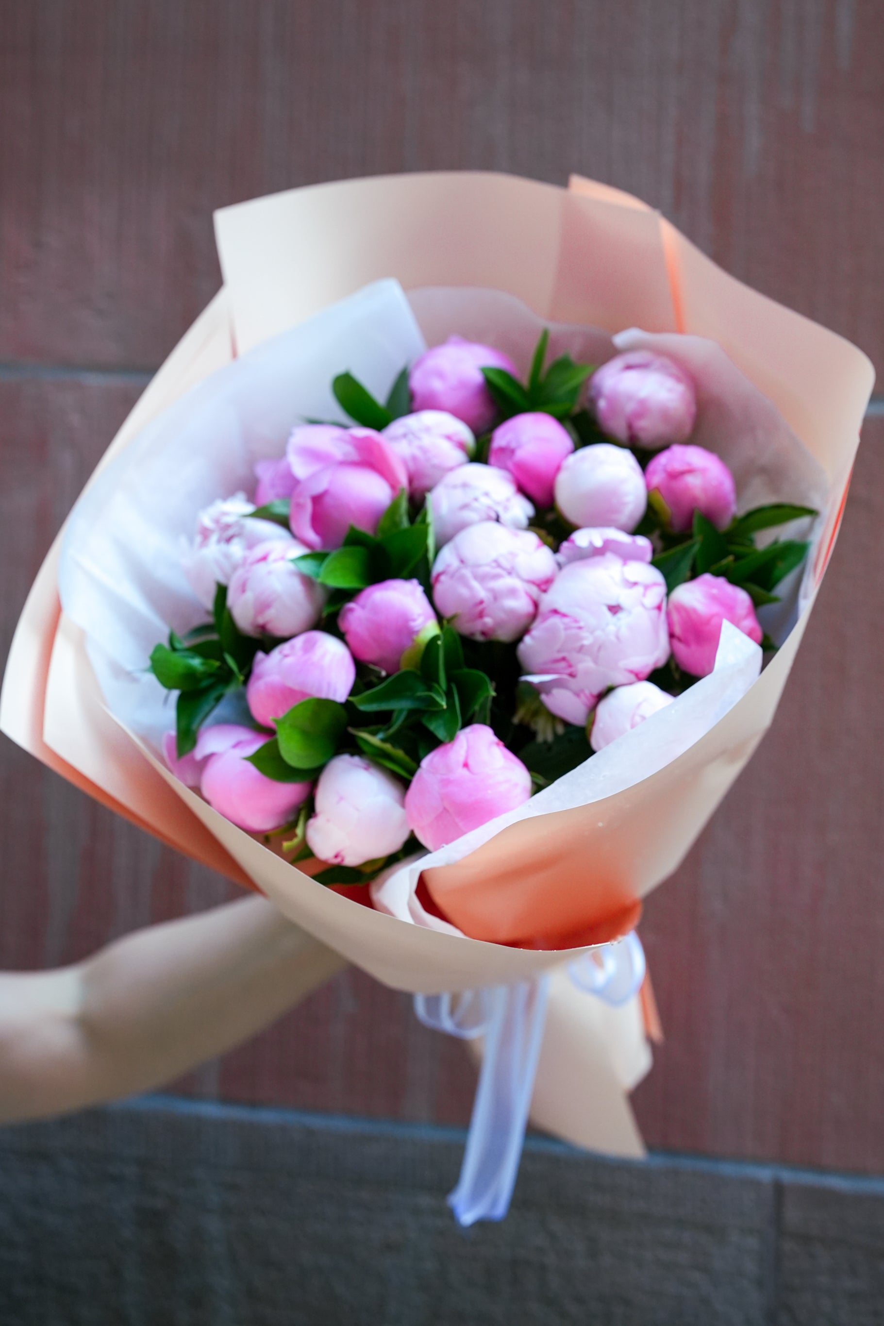 Douce Peony