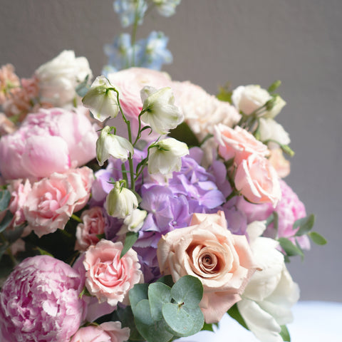 Pivoine Ciel