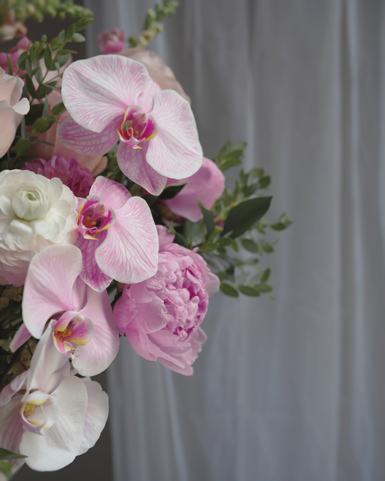 Fuchsica Atelier