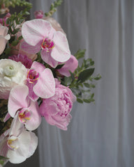 Fuchsica Atelier