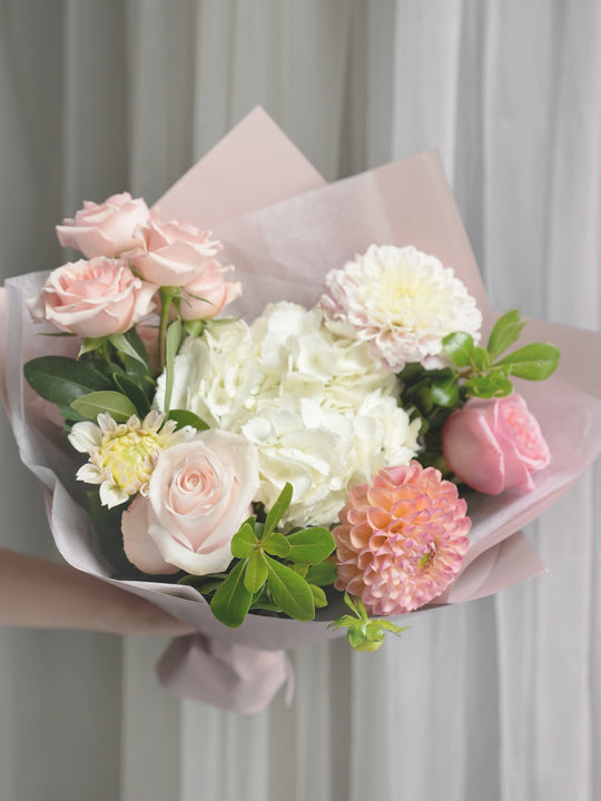Blush Harmony