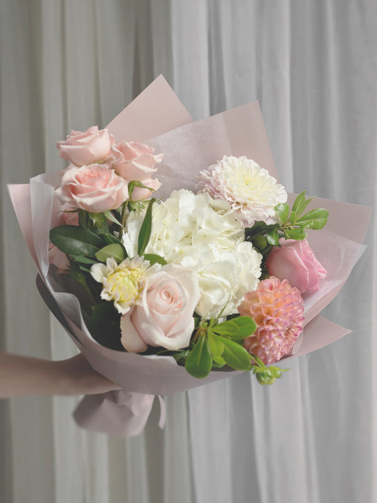 Blush Harmony