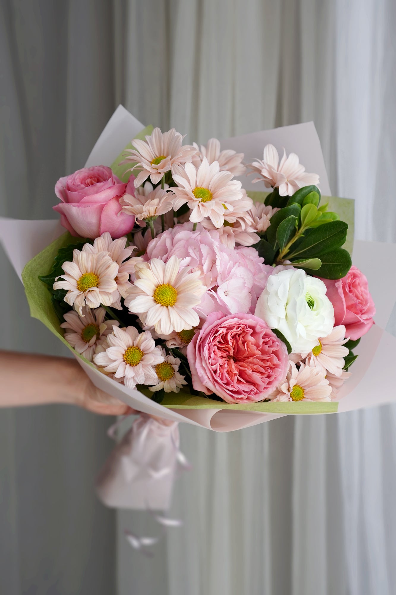 Blush Daisy