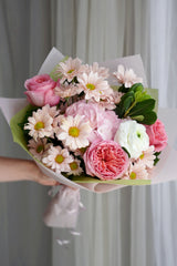 Blush Daisy