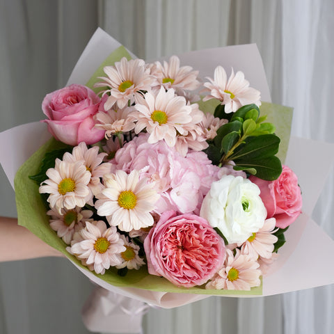 Blush Daisy