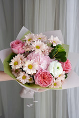 Blush Daisy