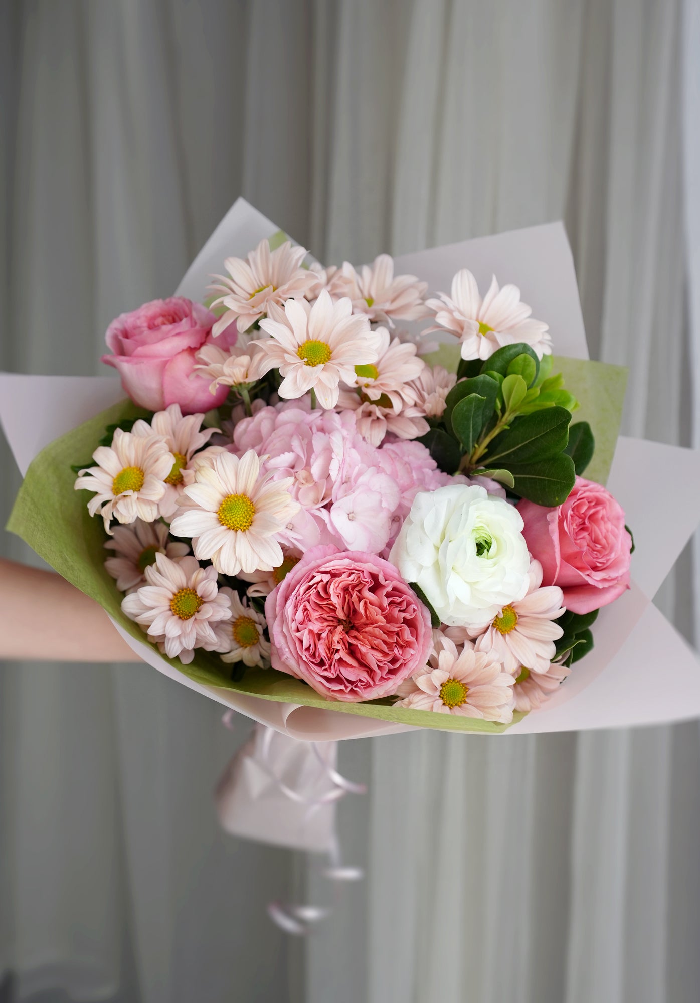 Blush Daisy