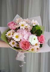 Blush Daisy