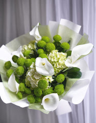 Chartreuse Orbit