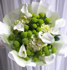 Chartreuse Orbit