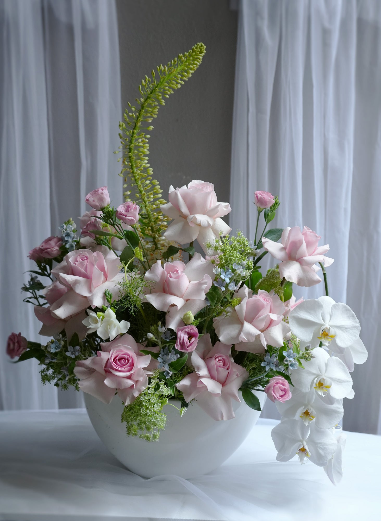 Rose Arcadia