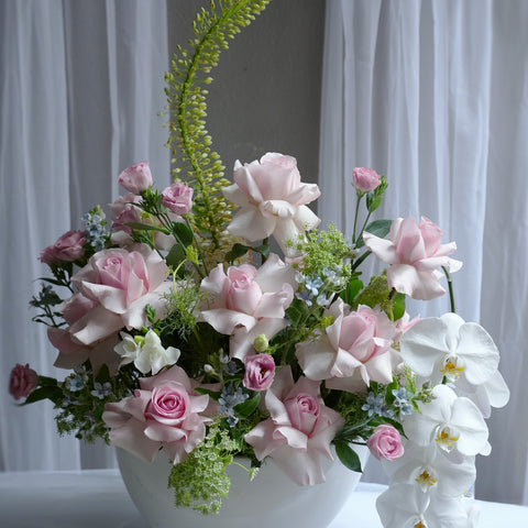 Rose Arcadia