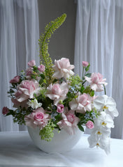 Rose Arcadia