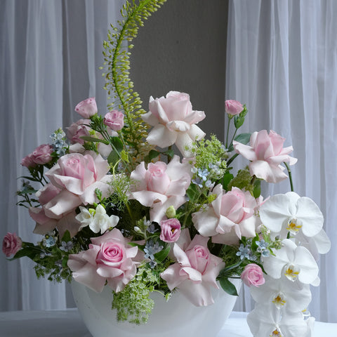 Rose Arcadia