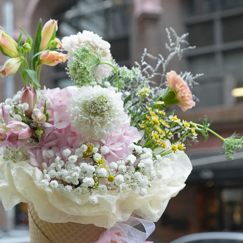 Blush Gelato
