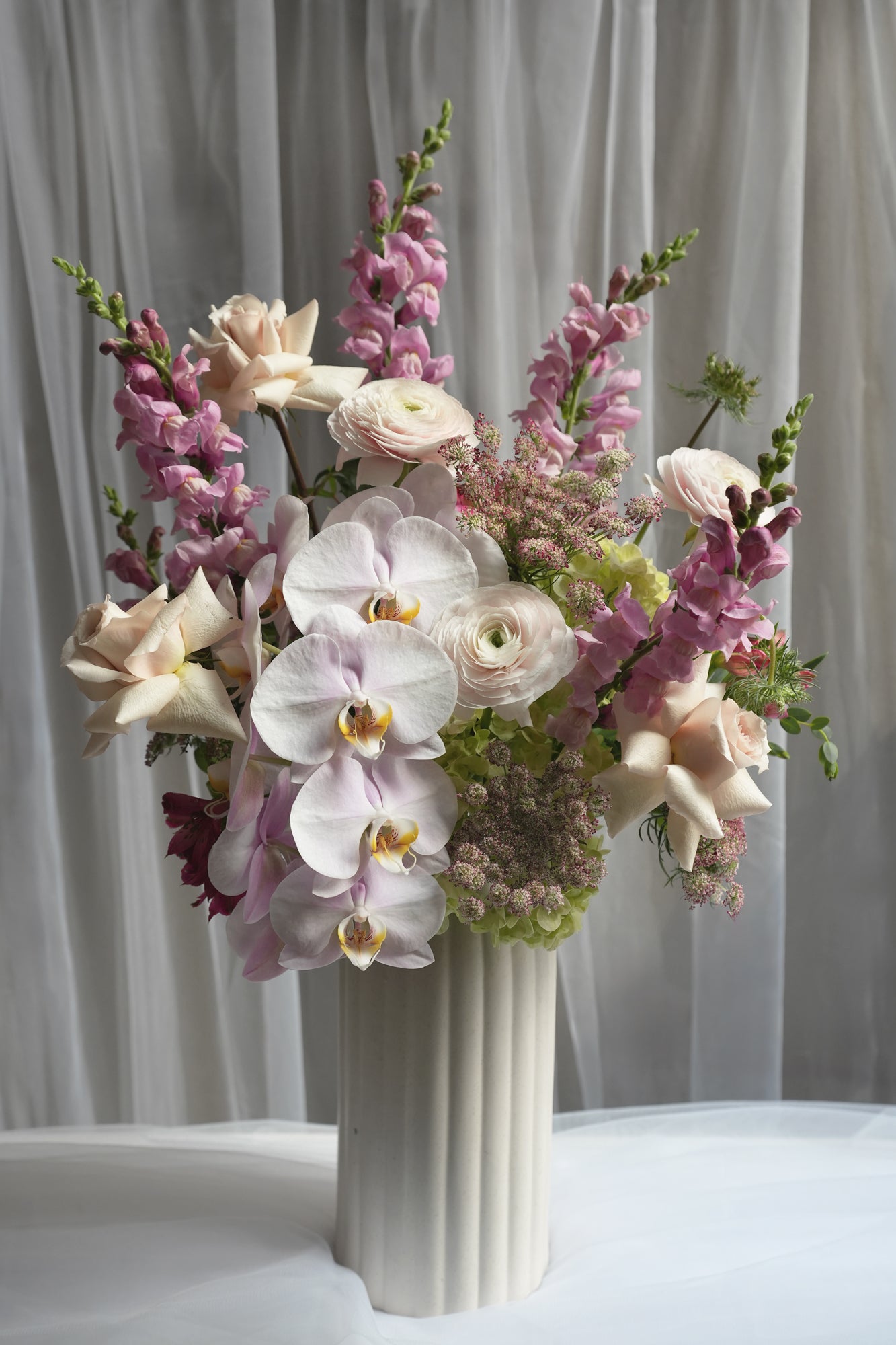 Orchid Aurelia