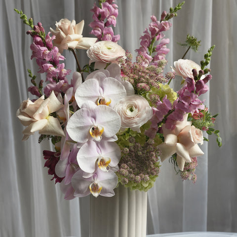 Orchid Aurelia