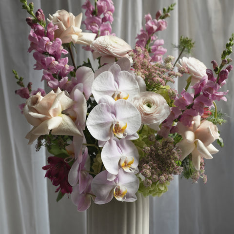 Orchid Aurelia