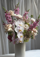 Orchid Aurelia