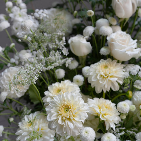 Prairie de Perles