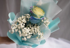 Mint Aurora Rose
