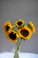 Local Sunflower