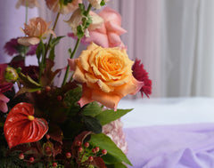 Apricot Art Garden