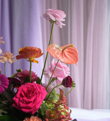 Apricot Art Garden